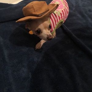 Meet your Posher, Joann